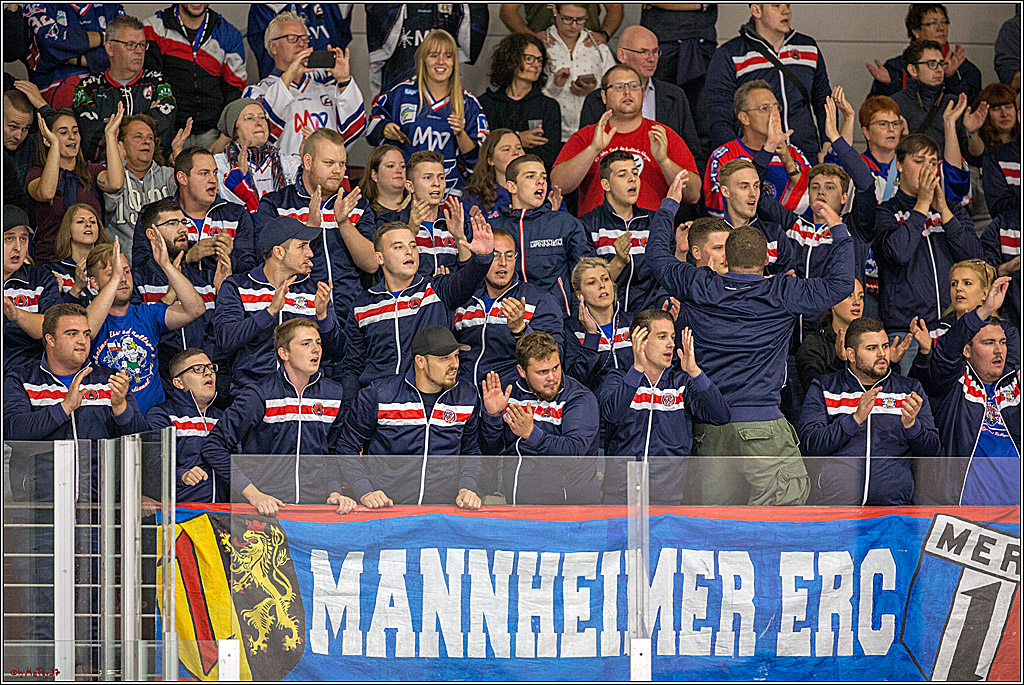 Testspiel Koelner Haie - Adler Mannheim, 09.09.2018